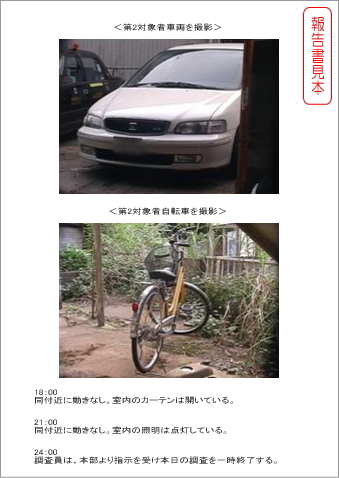 報告書見本16